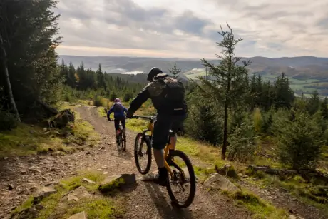 Cyclists navigate a forest trail, surrounded by scenic hills and nature.